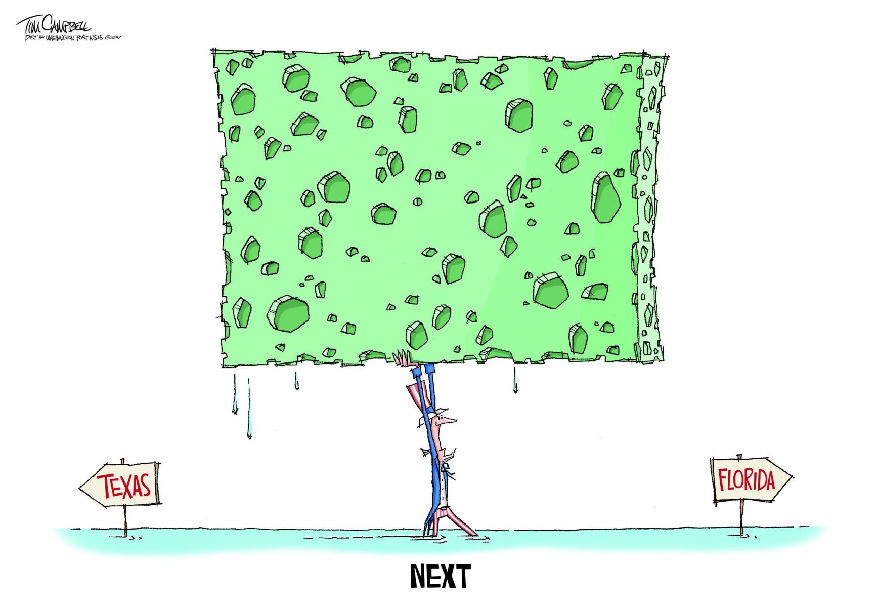 Tim Campbell cartoon